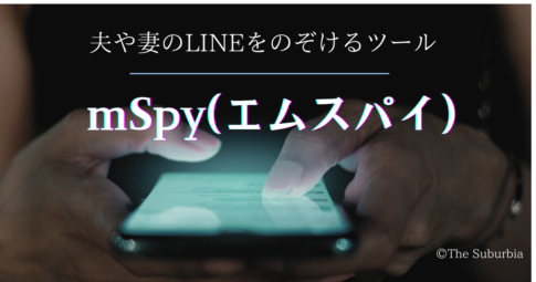 エムスパイの解説